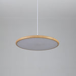 Chole Minimalist Metal Pendant Light - Lamp Outdoor