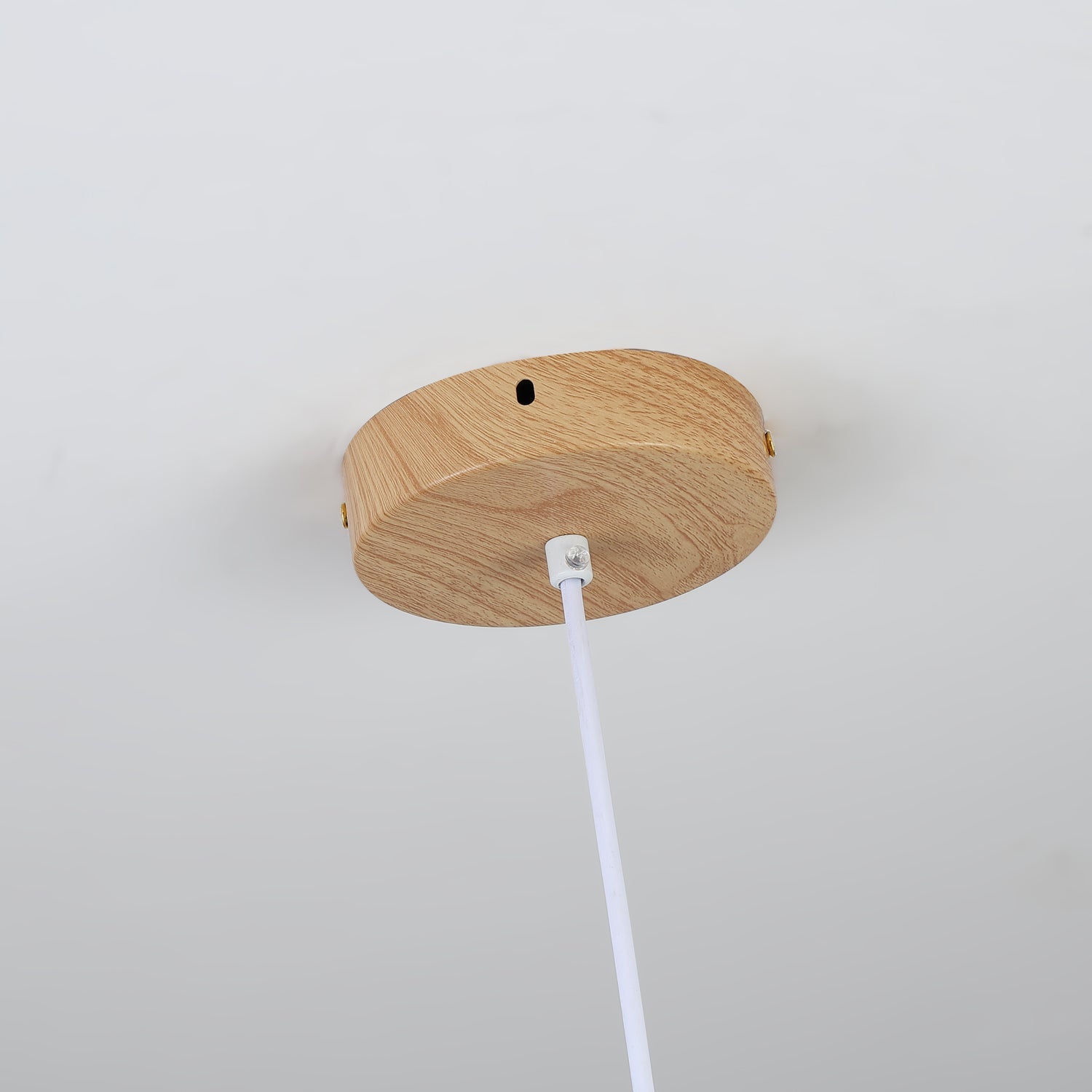 Chole Minimalist Metal Pendant Light - Lamp Outdoor