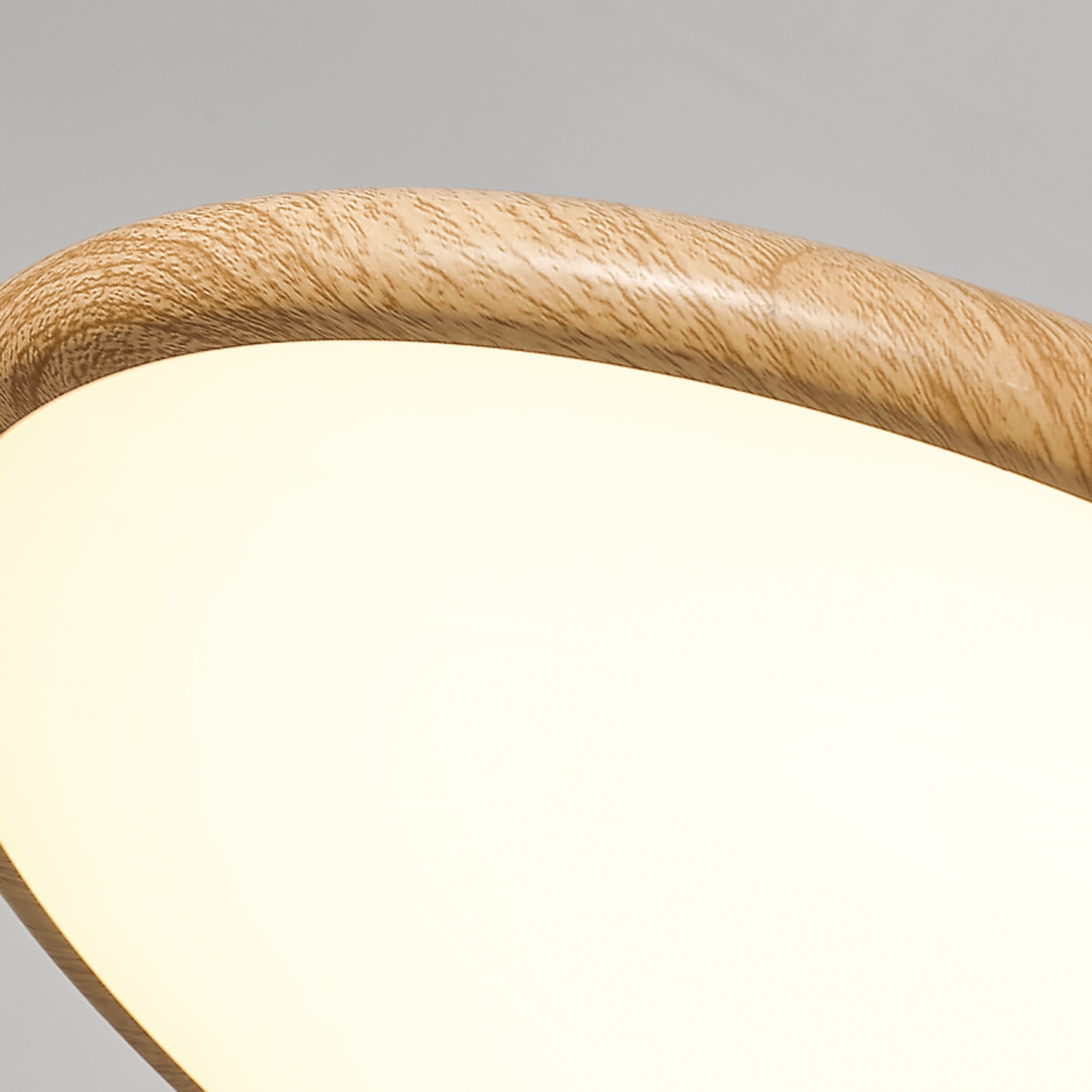 Chole Minimalist Metal Pendant Light - Lamp Outdoor