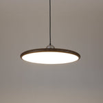 Chole Minimalist Metal Pendant Light - Lamp Outdoor