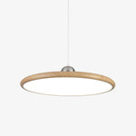 Chole Minimalist Metal Pendant Light - Lamp Outdoor