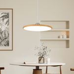 Chole Minimalist Metal Pendant Light - Lamp Outdoor