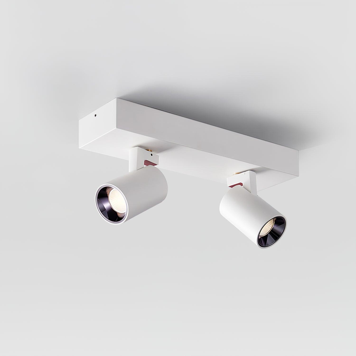 POG Double Linear Spotlight - Lamp Outdoor