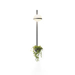 Solstice Wall Light - Lamp Outdoor