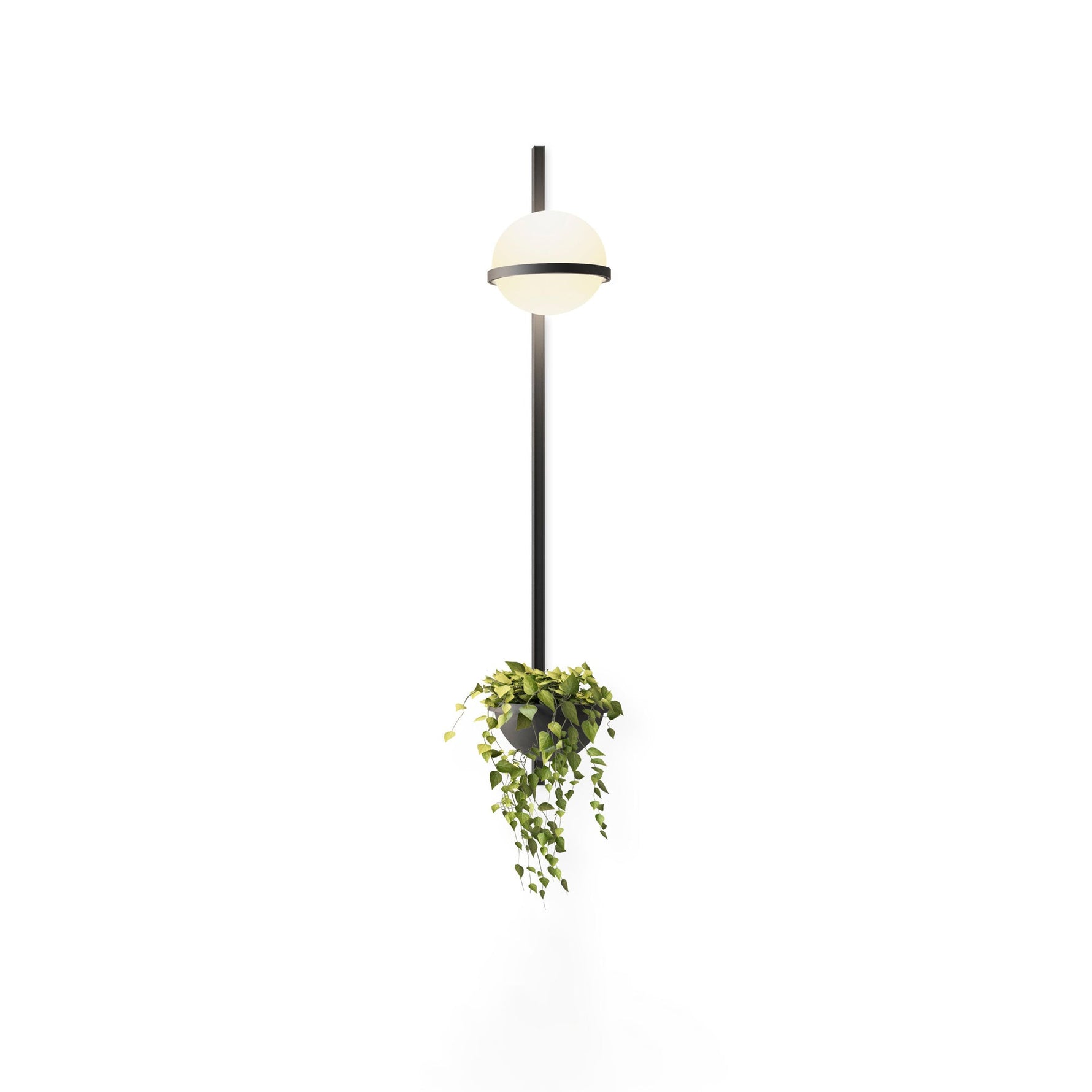 Solstice Wall Light - Lamp Outdoor