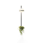 Ray Indoor Outdoor Wall Light - Lamp Outdoor