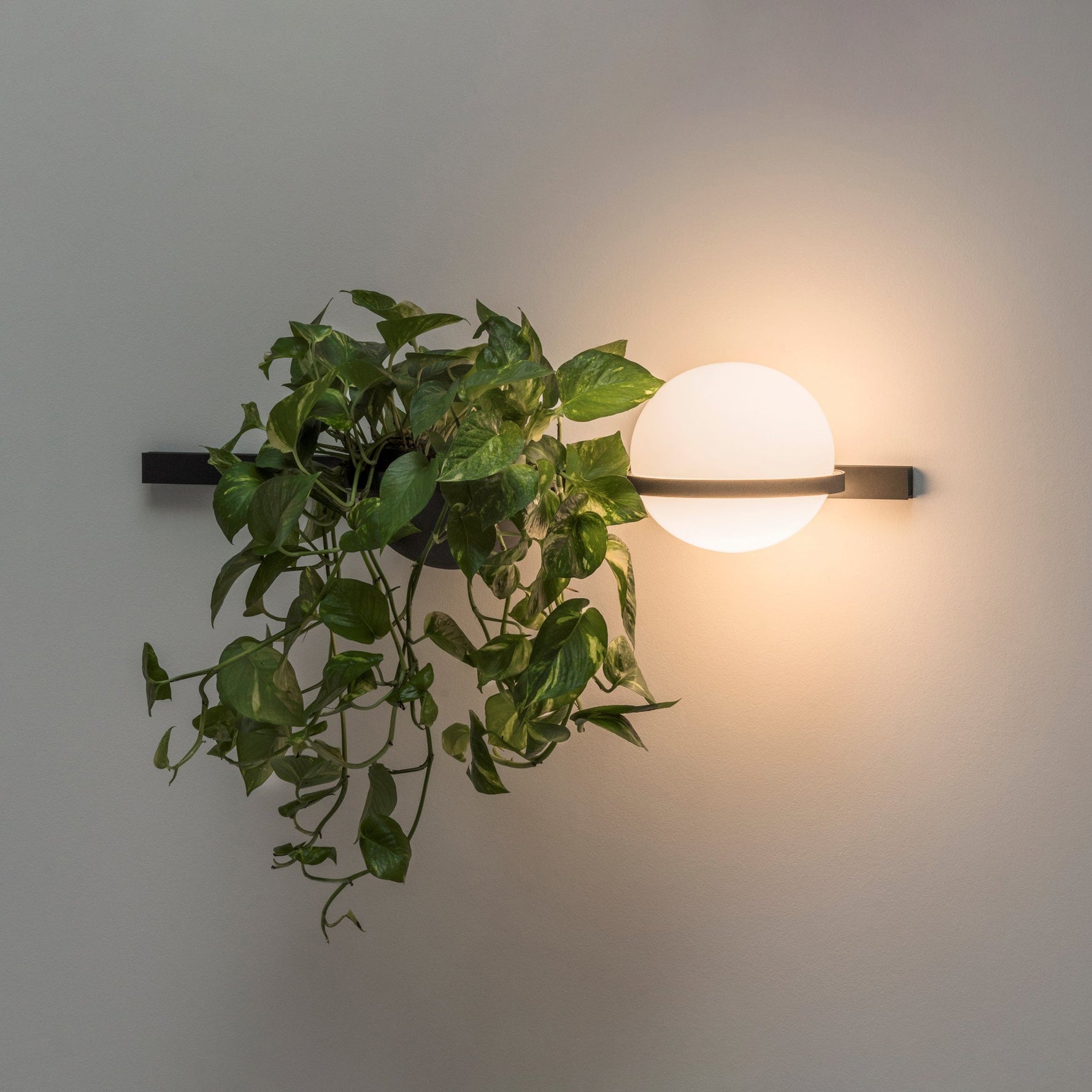 Solstice Wall Light - Lamp Outdoor