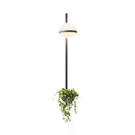 Solstice Wall Light - Lamp Outdoor