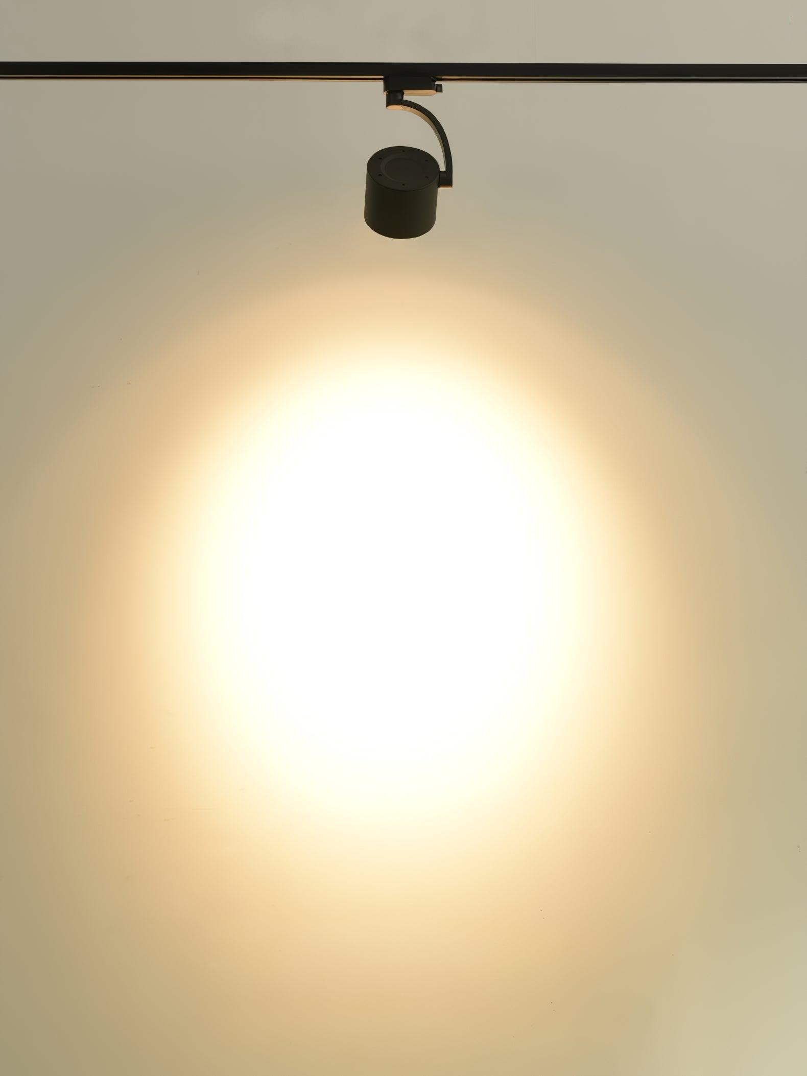 Paloma Ceiling Light - Lamp Outdoor