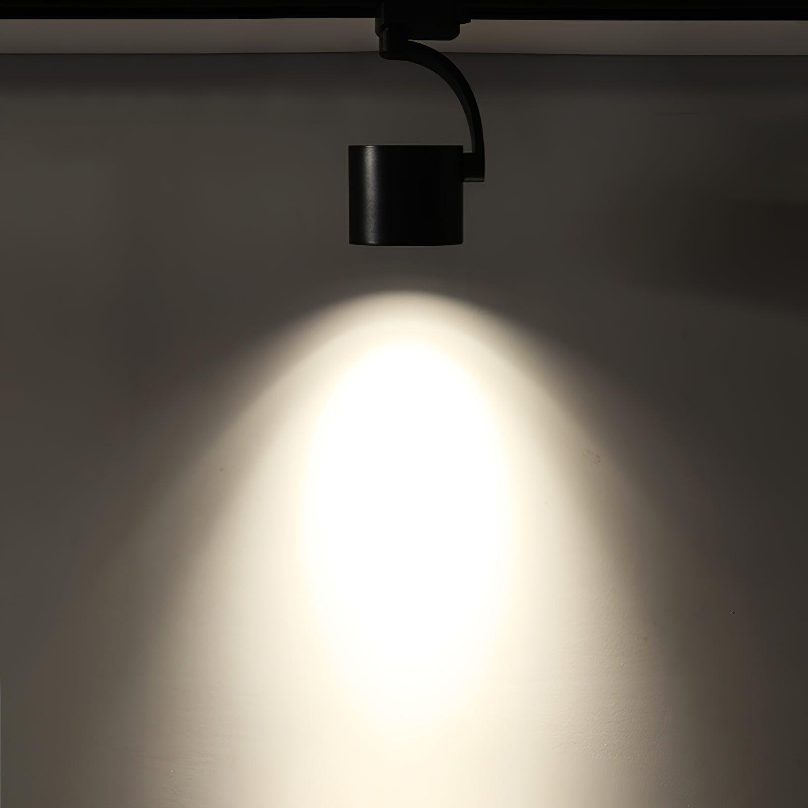 Paloma Ceiling Light - Lamp Outdoor