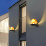 Pearl Clam Wall Light - Lamp Outdoor
