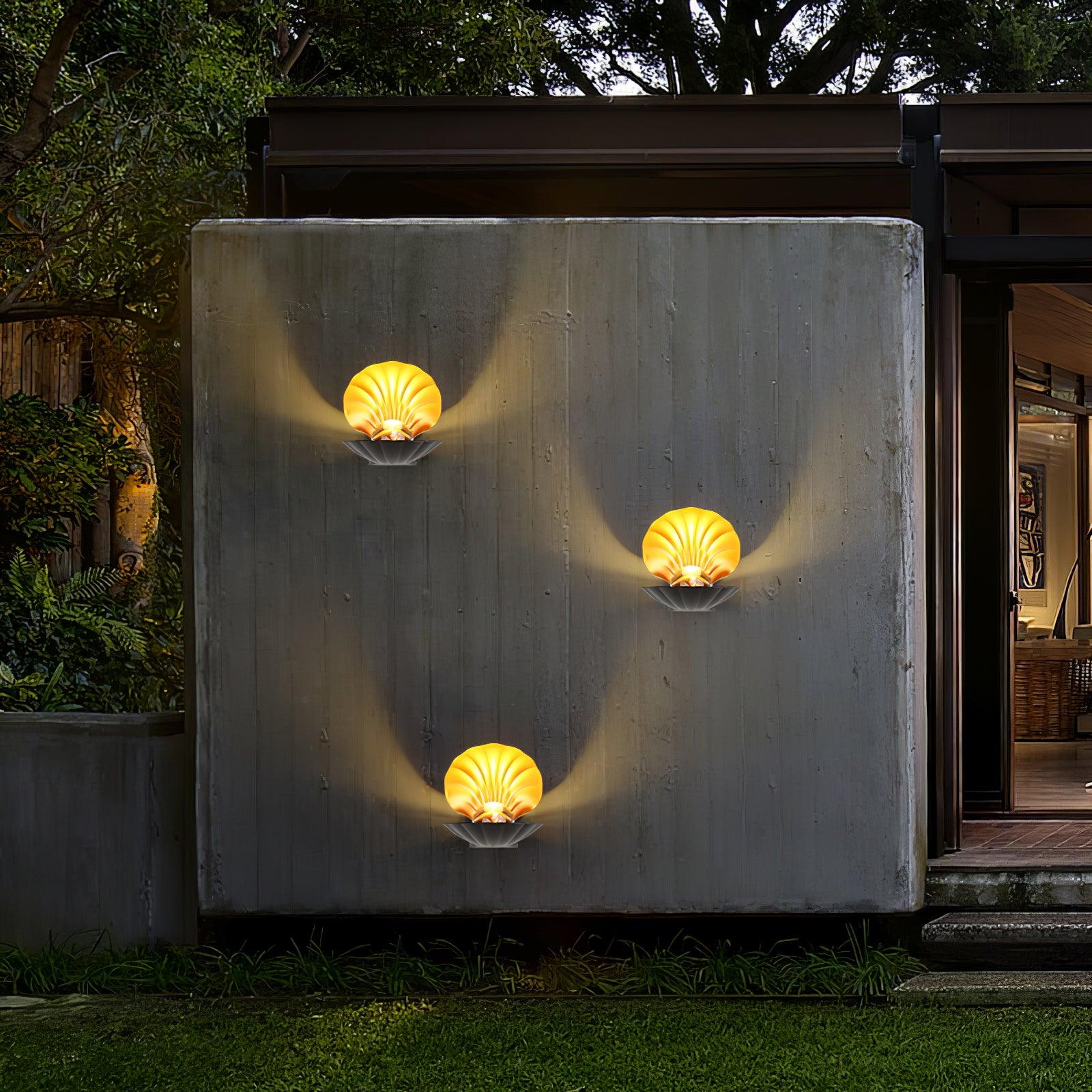 Pearl Clam Wall Light - Lamp Outdoor