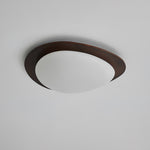 Pebble Wooden Ceiling Light - Lamp Outdoor