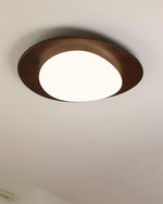 Pebble Wooden Ceiling Light - Lamp Outdoor
