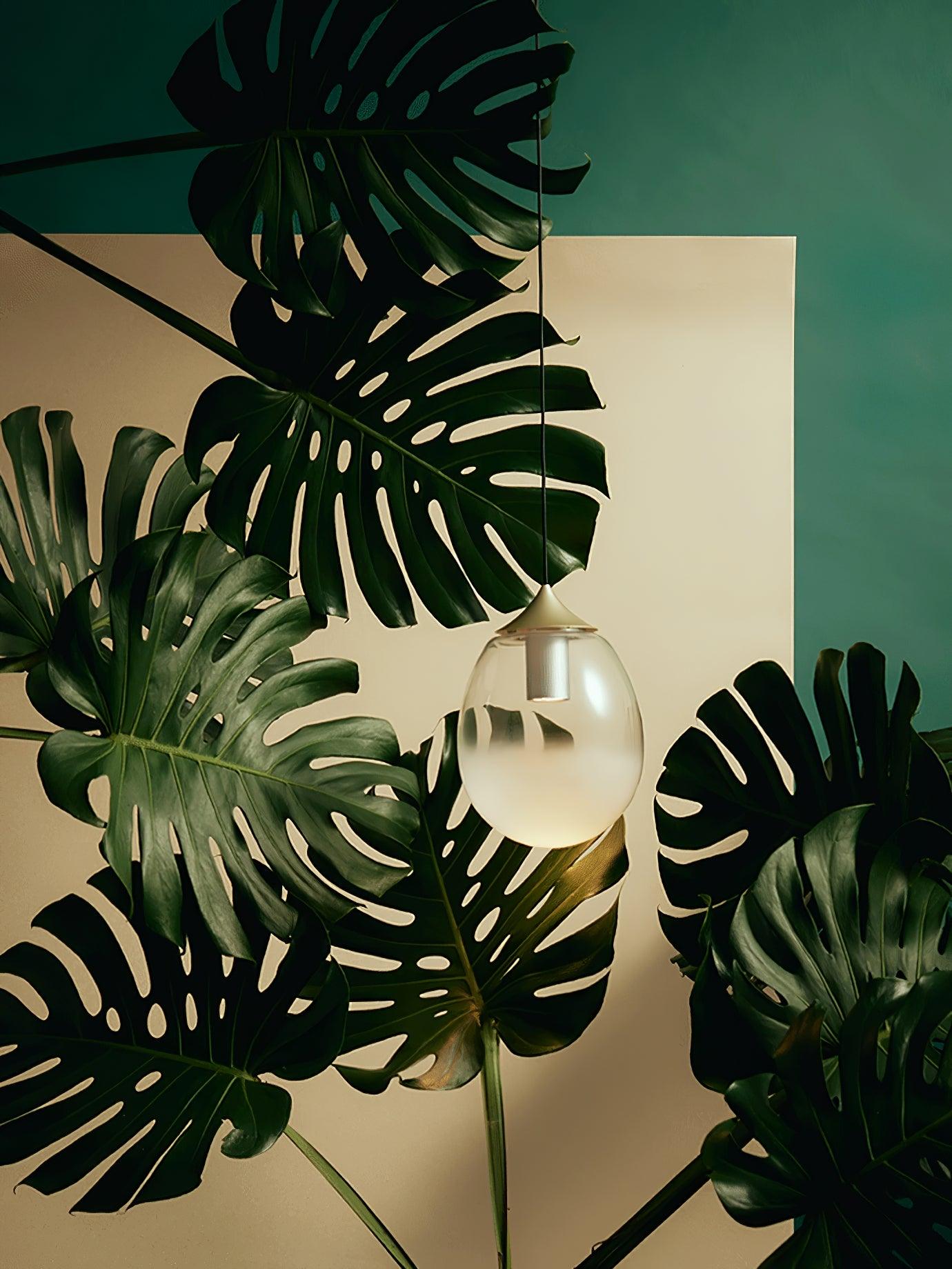 Petra Pendant Light - Lamp Outdoor