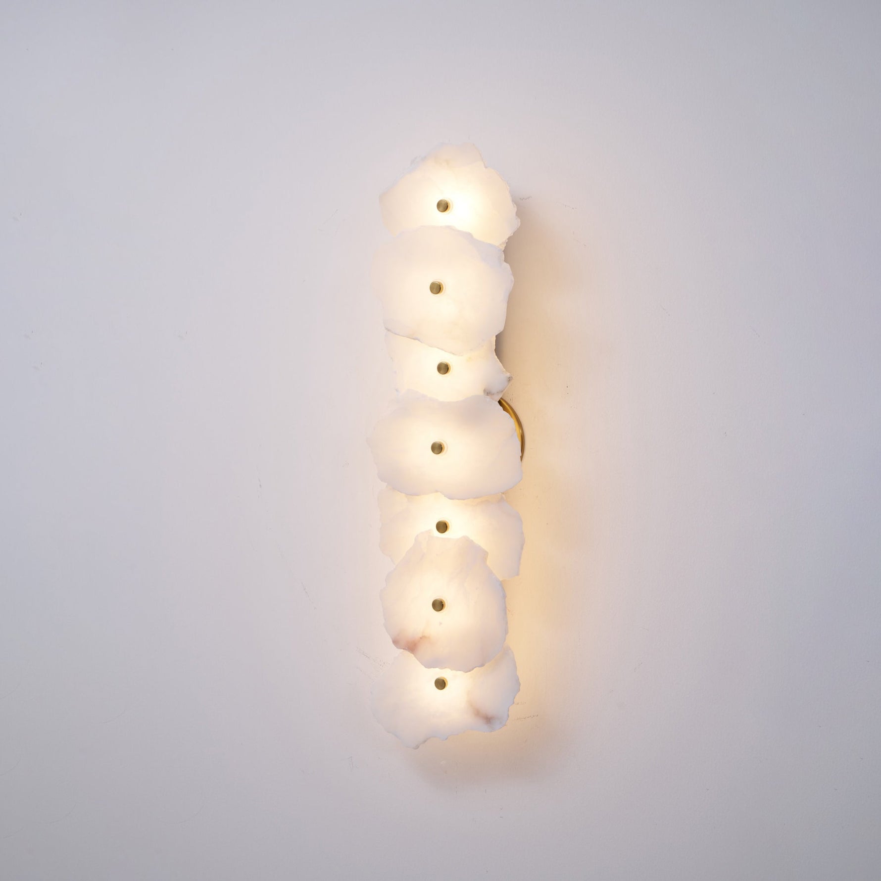 Alaeila Floral Cluster Alabaster Wall Light - Lamp Outdoor
