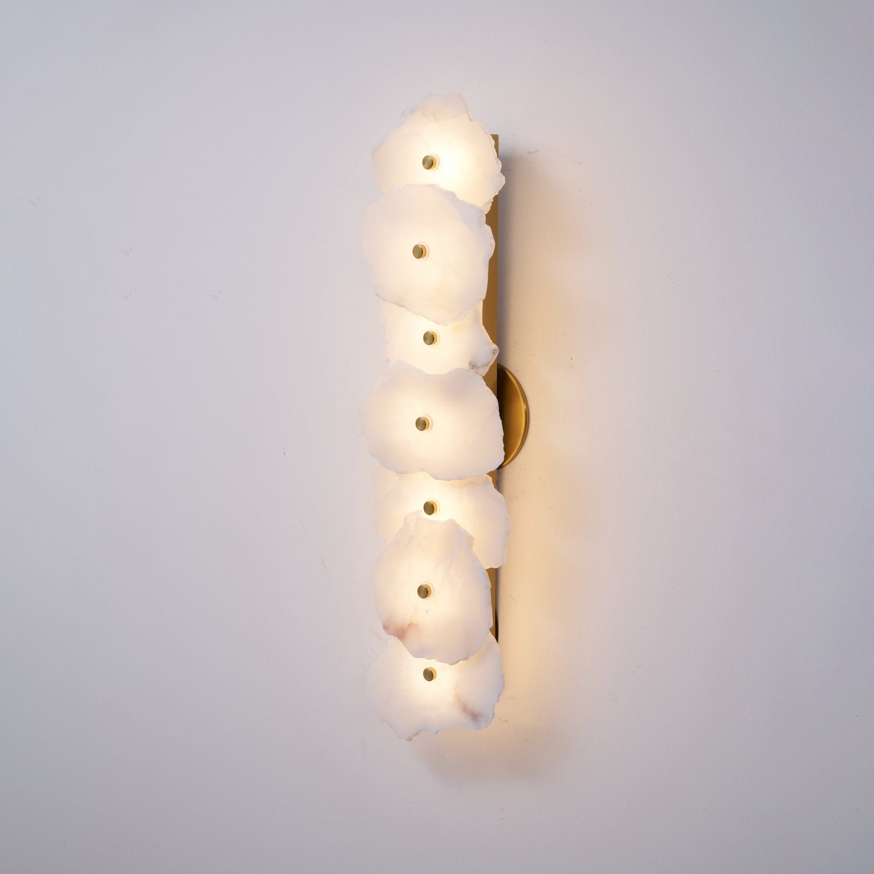 Alaeila Floral Cluster Alabaster Wall Light - Lamp Outdoor