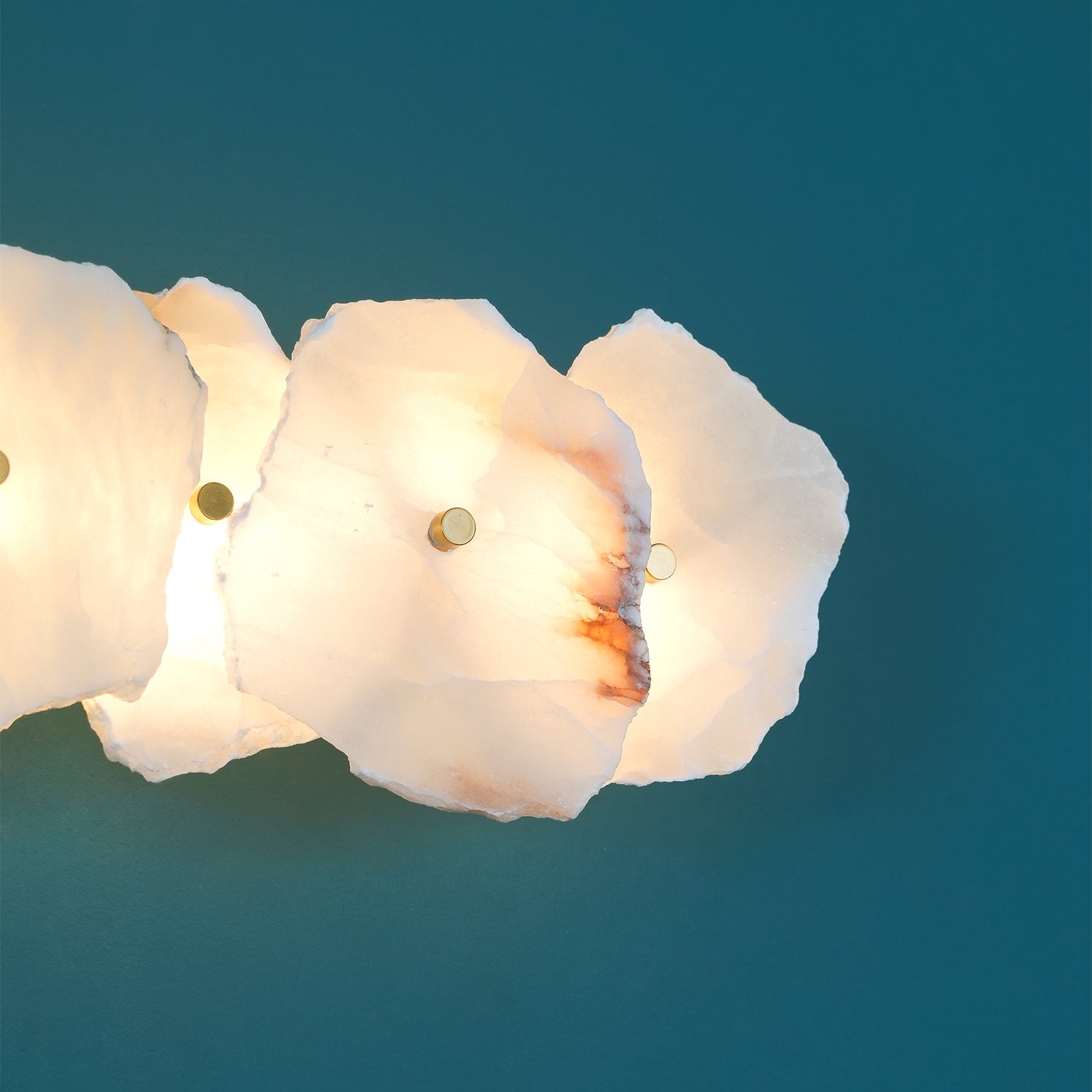 Alaeila Floral Cluster Alabaster Wall Light - Lamp Outdoor