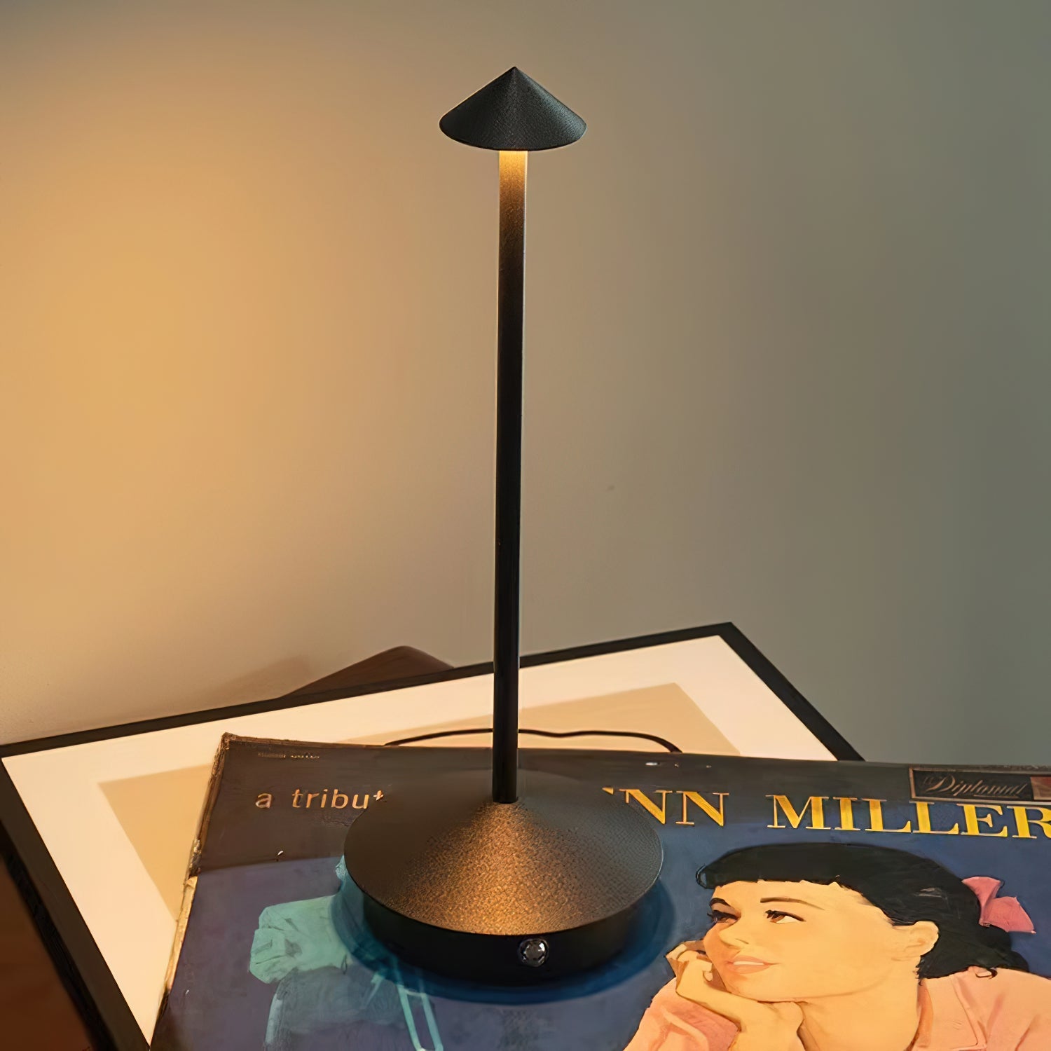 Pina Modern Table Lamp