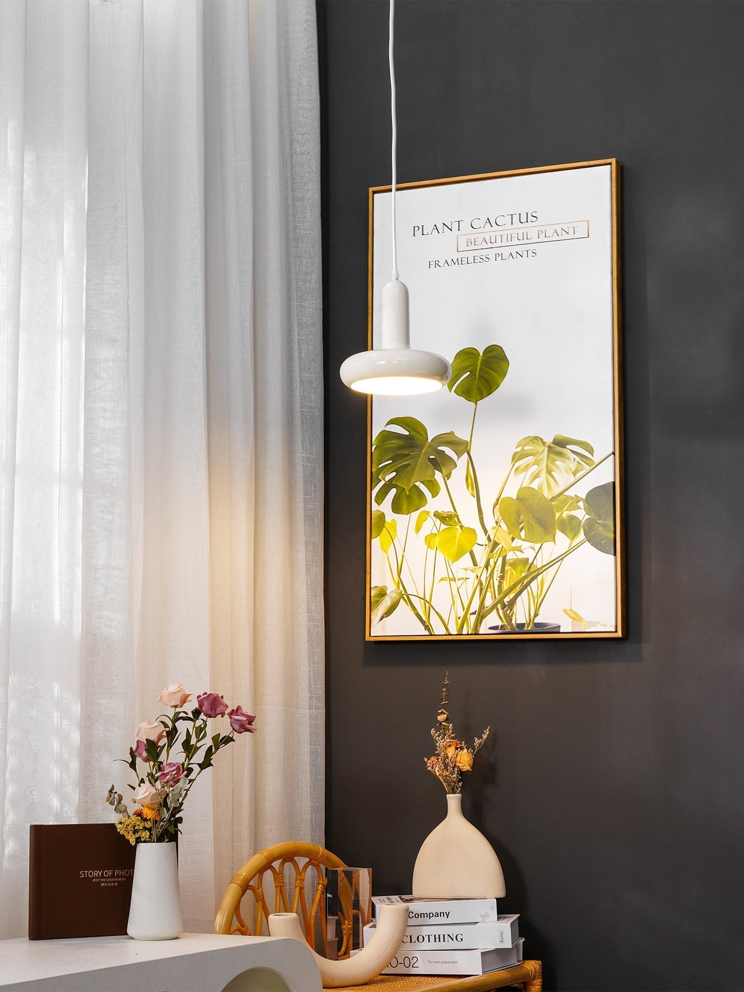Puck Pendant Light - Lamp Outdoor