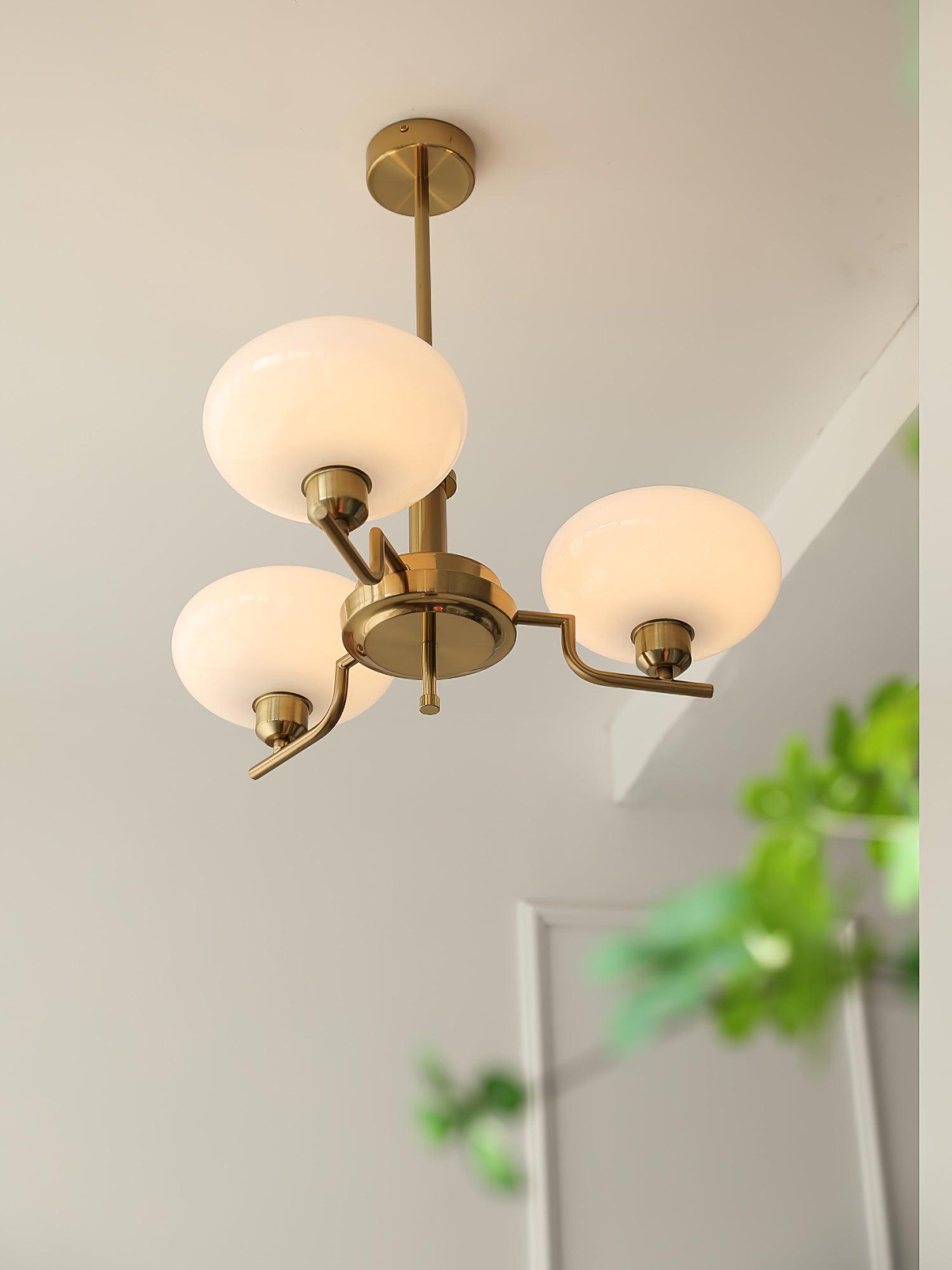 Puja Chandeliers - Lamp Outdoor