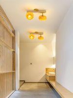 Dylan Modern Metal Ceiling Lamp - Lamp Outdoor