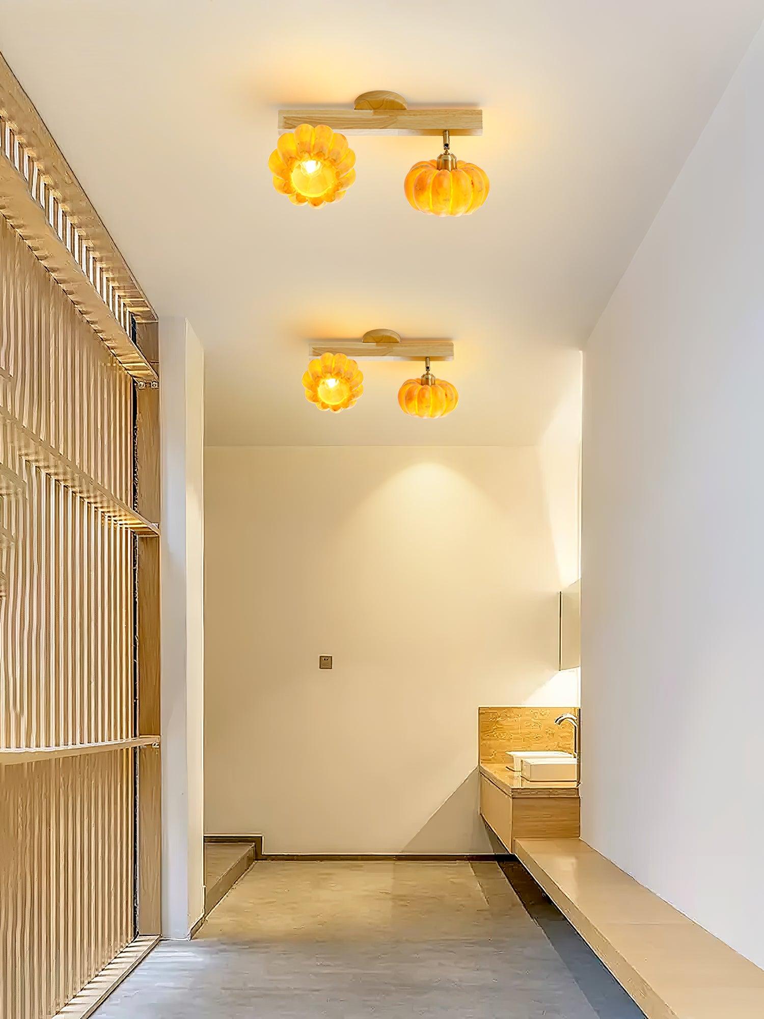 Dylan Modern Metal Ceiling Lamp - Lamp Outdoor