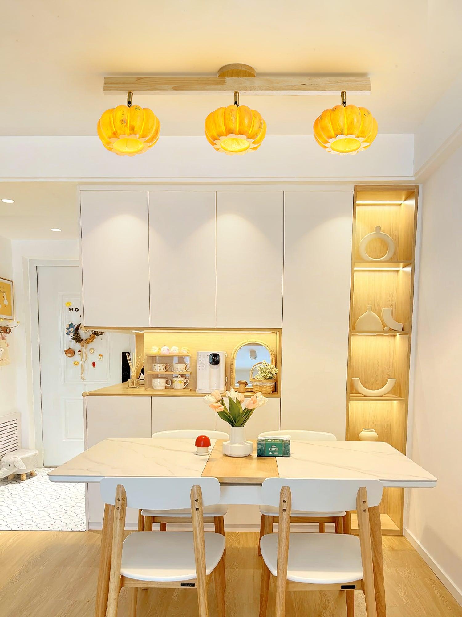 Dylan Modern Metal Ceiling Lamp - Lamp Outdoor