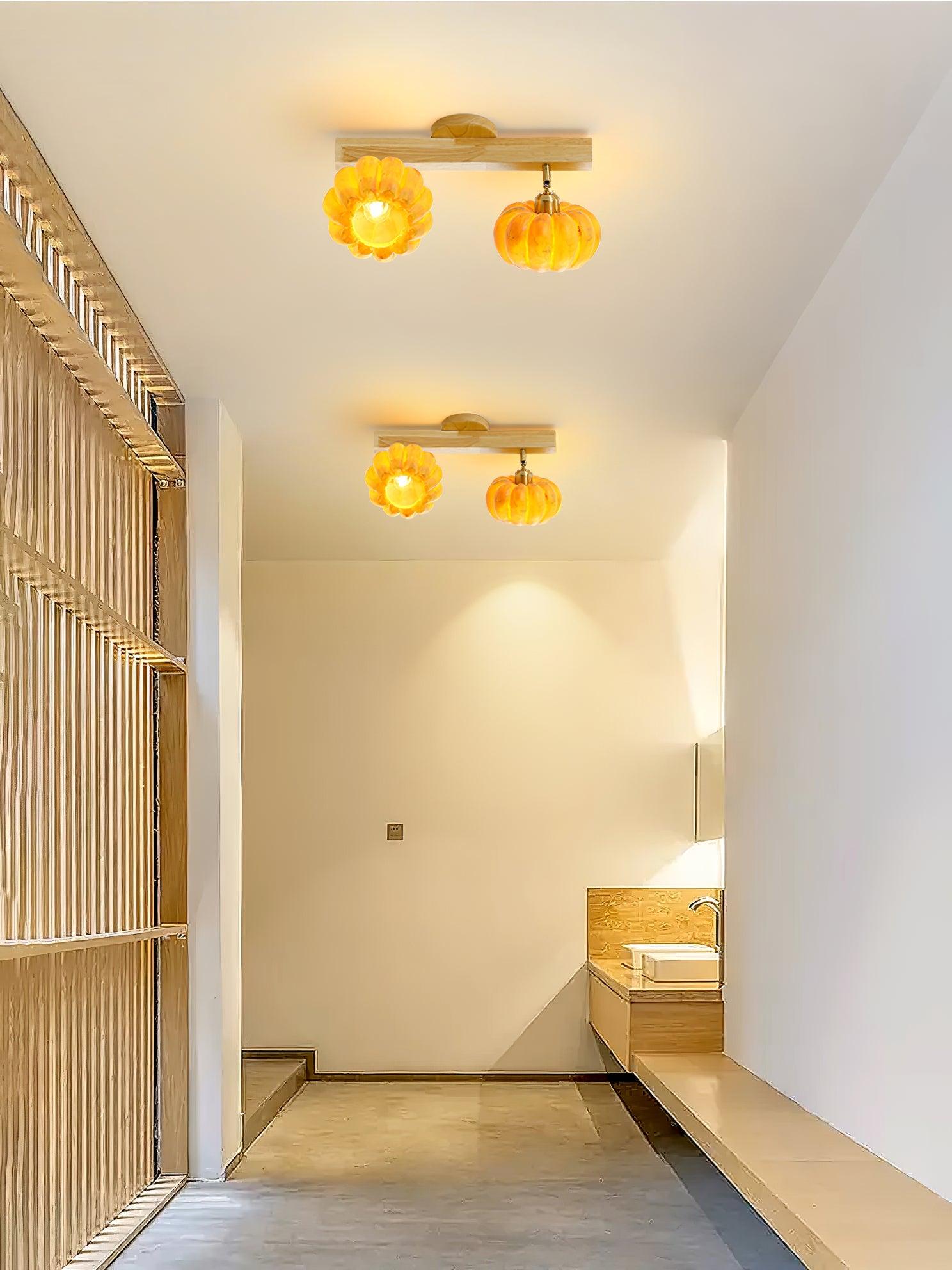 Dylan Modern Metal Ceiling Lamp - Lamp Outdoor