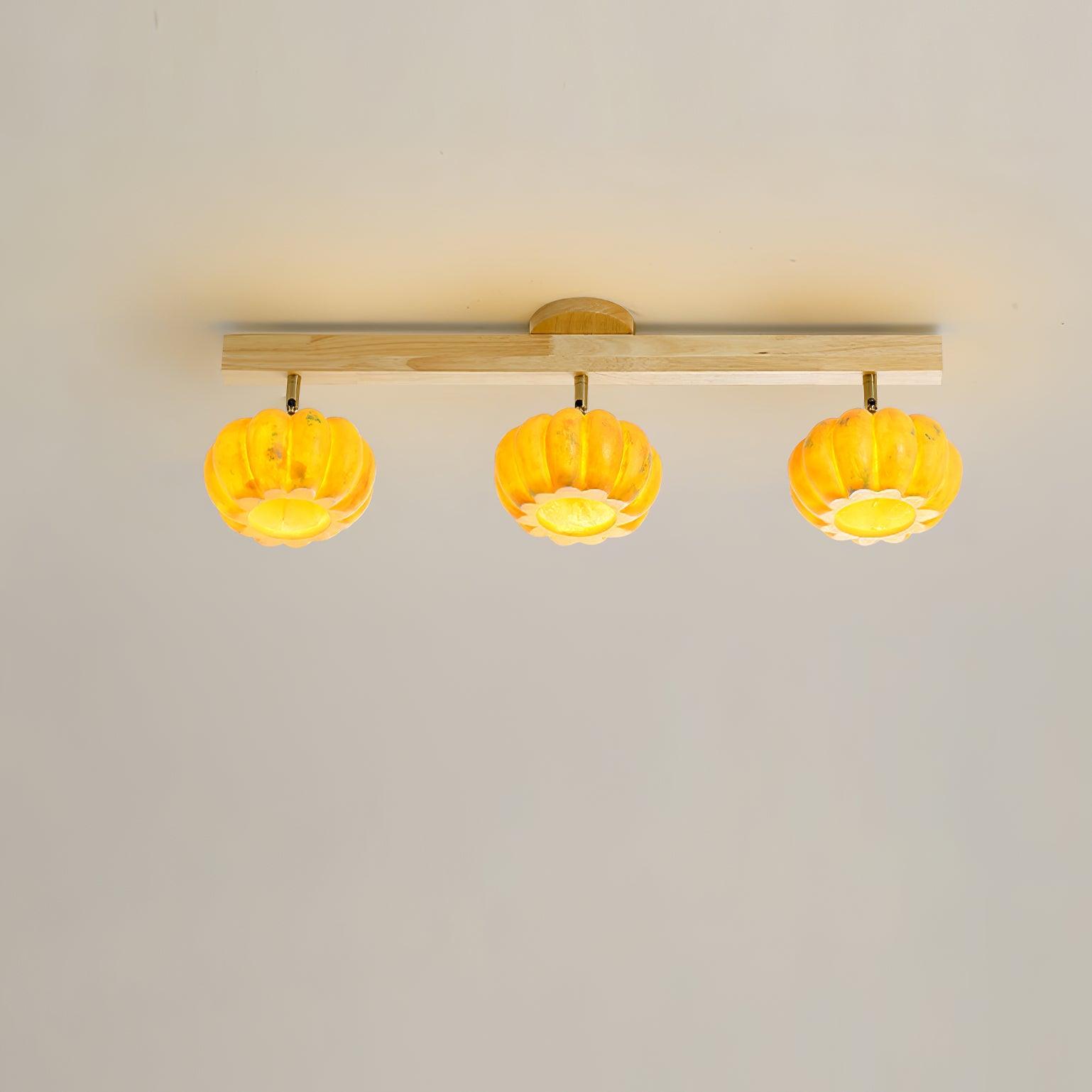 Dylan Modern Metal Ceiling Lamp - Lamp Outdoor