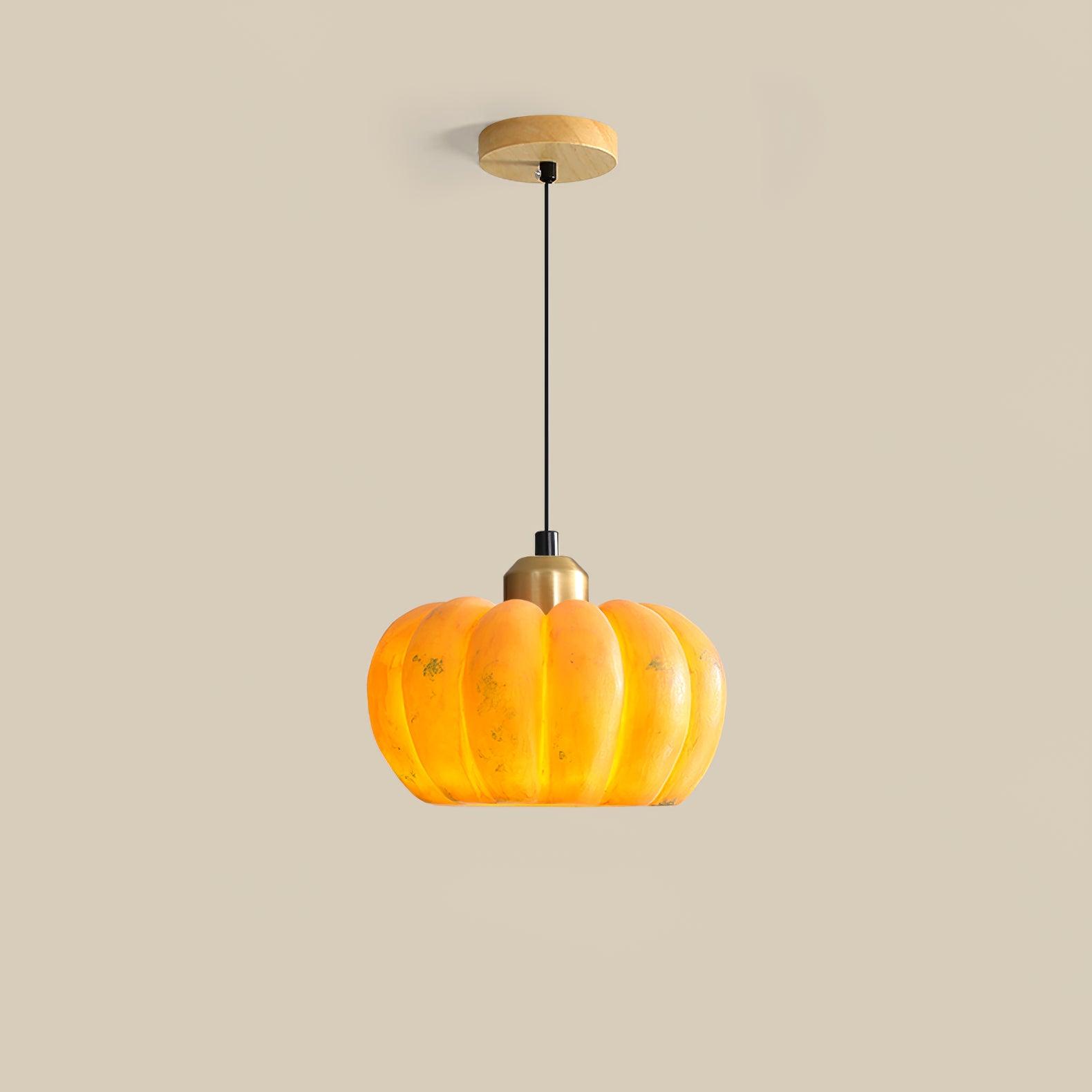 Hudson Modern Metal Pendant Light - Lamp Outdoor
