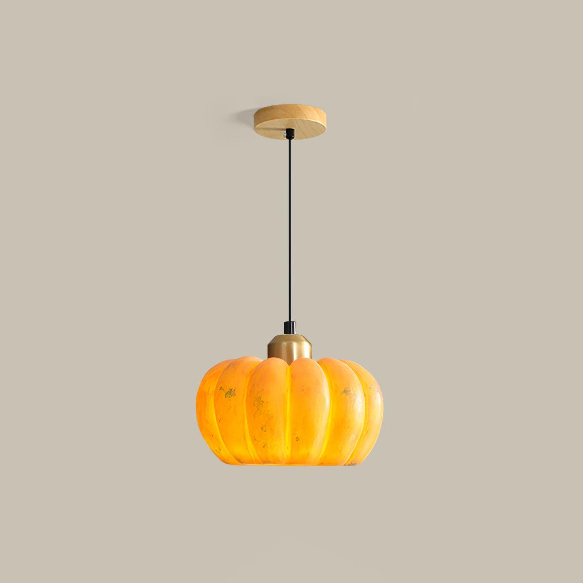 Hudson Modern Metal Pendant Light - Lamp Outdoor