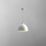 Resin Bowl Pendant Lamp - Lamp Outdoor