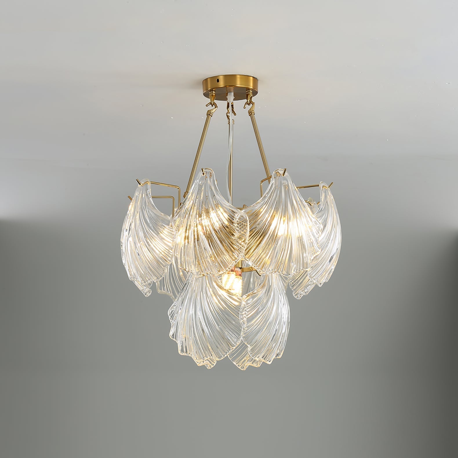 Ribbed Shell Ceiling light - Lamp Outdoor