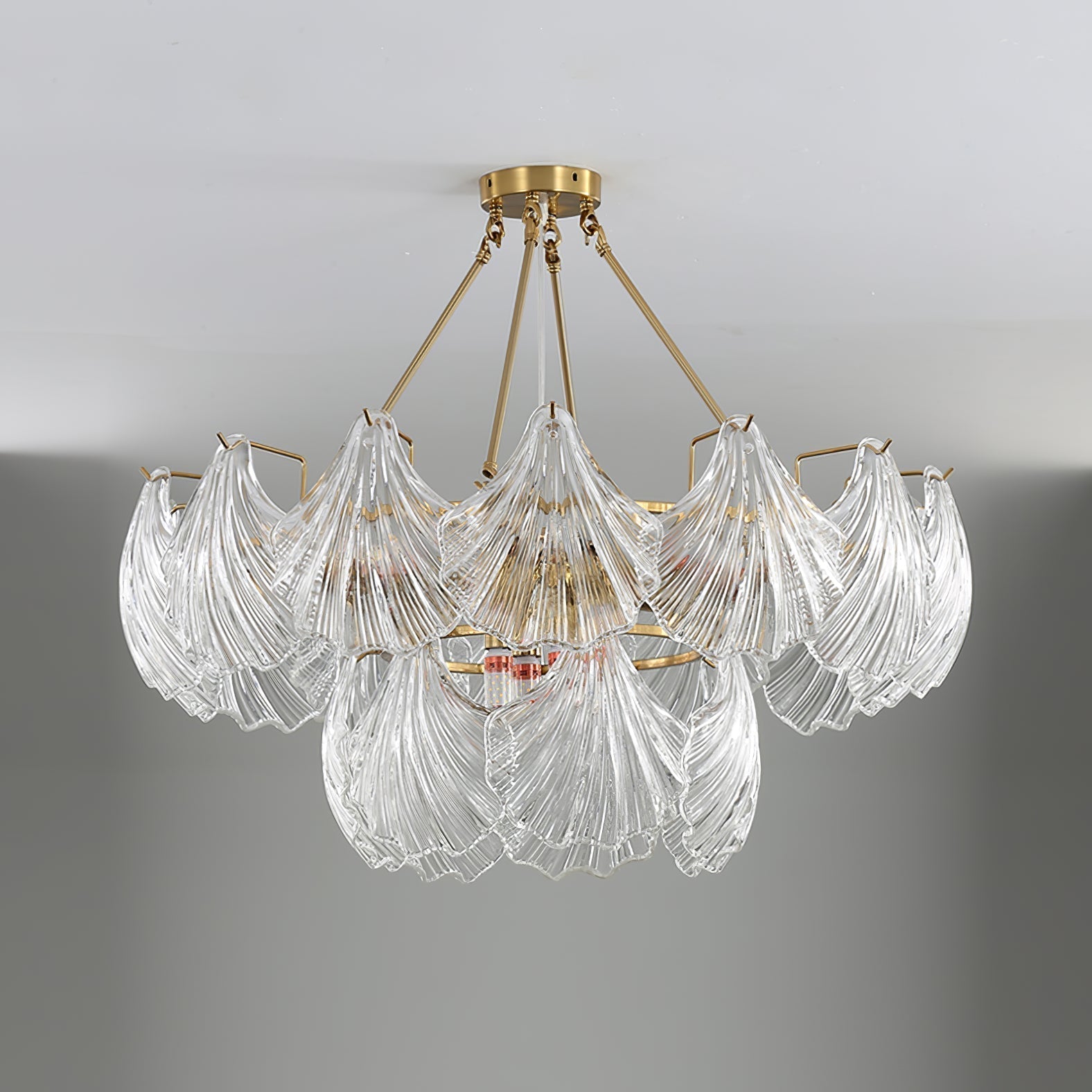 Ribbed Shell Ceiling light - Lamp Outdoor