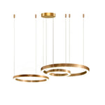 Ring LED Pendant Light - Lamp Outdoor