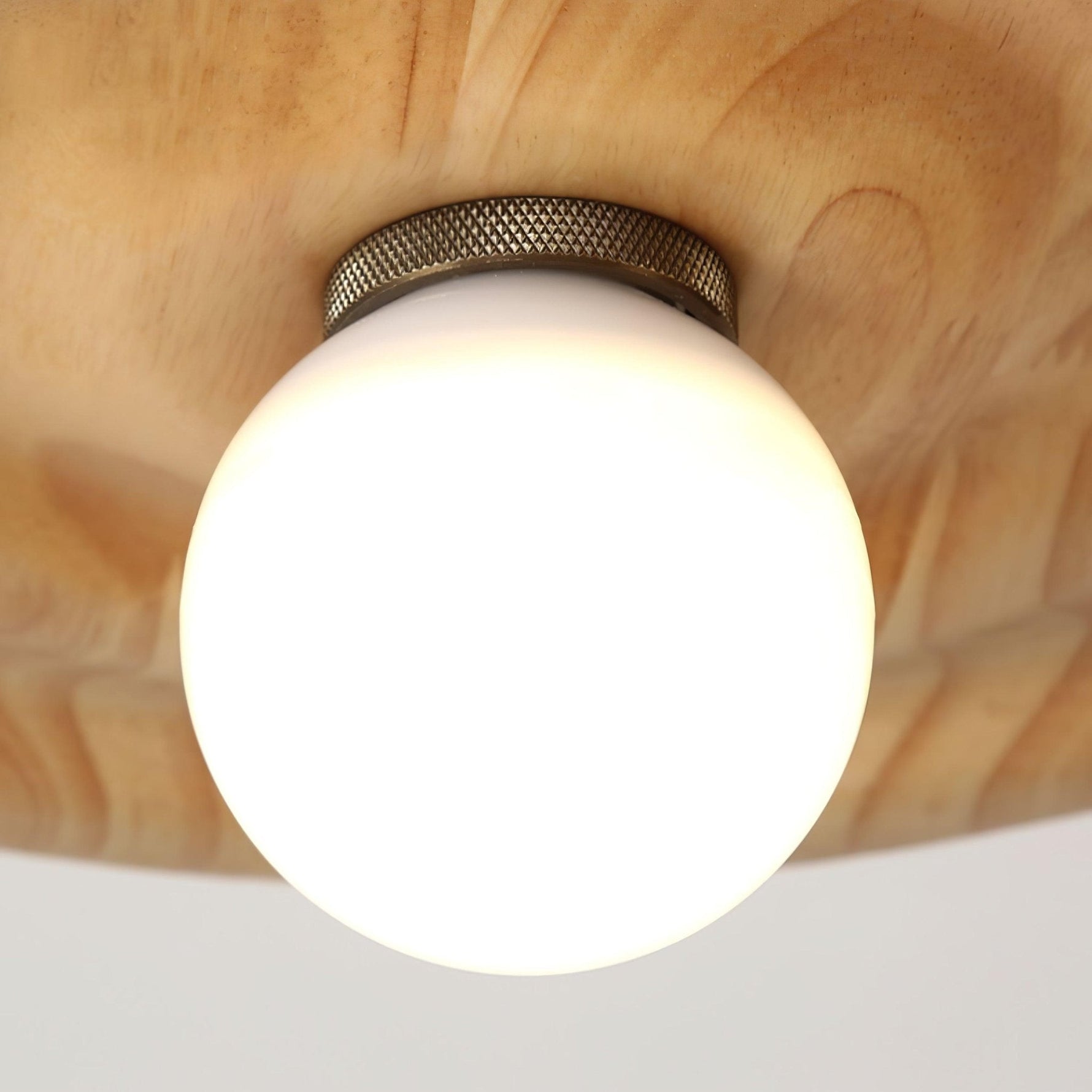 Ripplewood Pendant Lamp - Lamp Outdoor