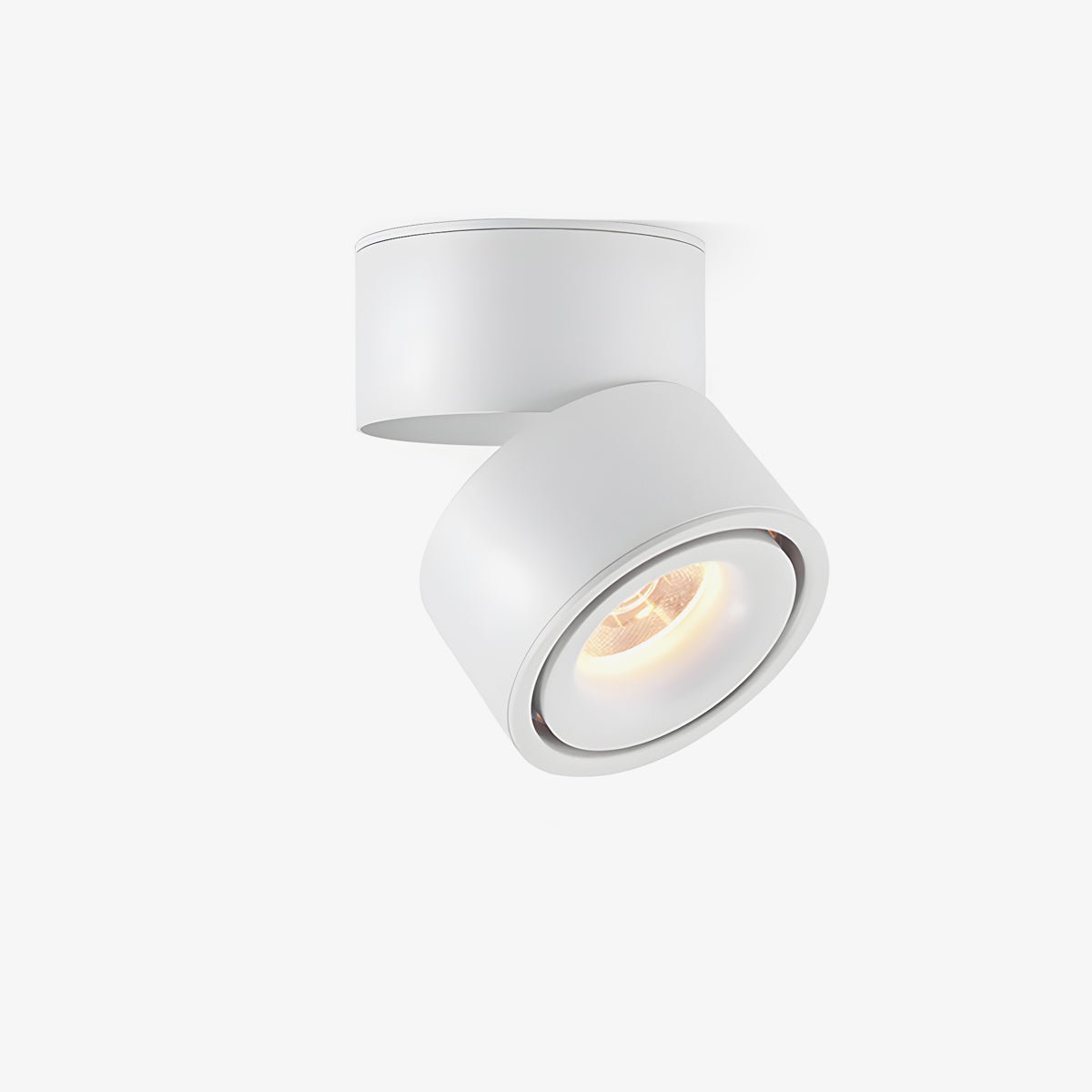 Rotatable Spotlight Ceiling Light - Lamp Outdoor