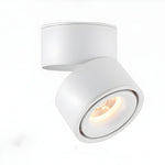 Rotatable Spotlight Ceiling Light - Lamp Outdoor