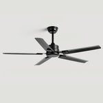 Rozzen Ceiling Fan 52″ - Lamp Outdoor