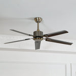 Rozzen Ceiling Fan 52″ - Lamp Outdoor