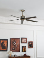 Rozzen Ceiling Fan 52″ - Lamp Outdoor