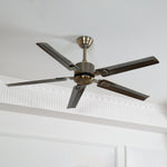 Rozzen Ceiling Fan 52″ - Lamp Outdoor