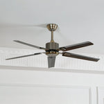 Rozzen Ceiling Fan 52″ - Lamp Outdoor