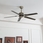Rozzen Ceiling Fan 52″ - Lamp Outdoor