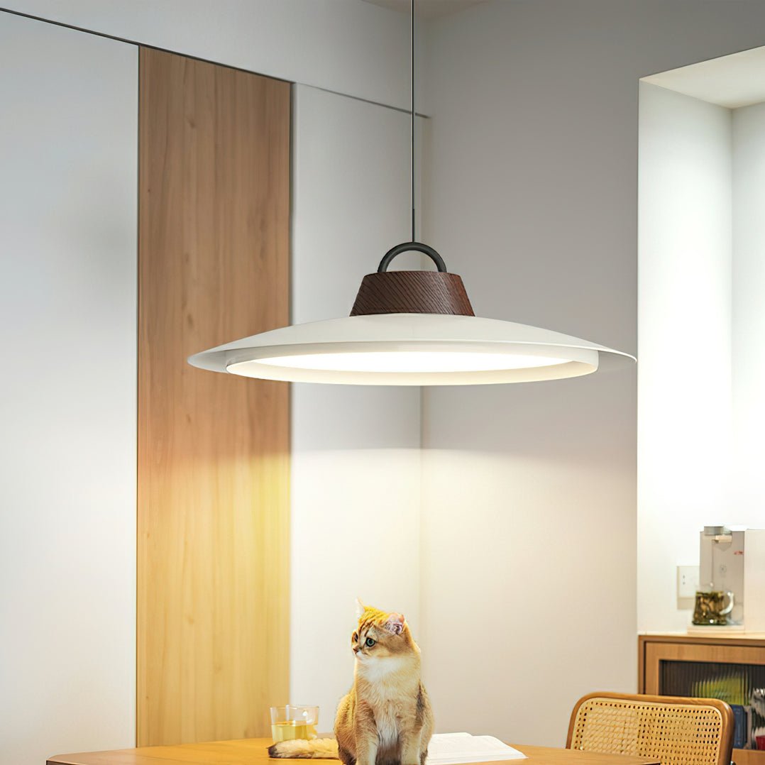 Ruile Pendant Lamp - Lamp Outdoor