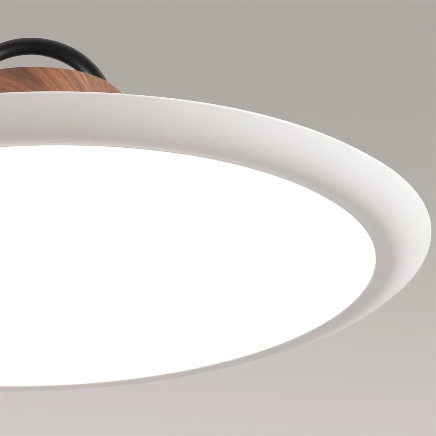 Ruile Pendant Lamp - Lamp Outdoor