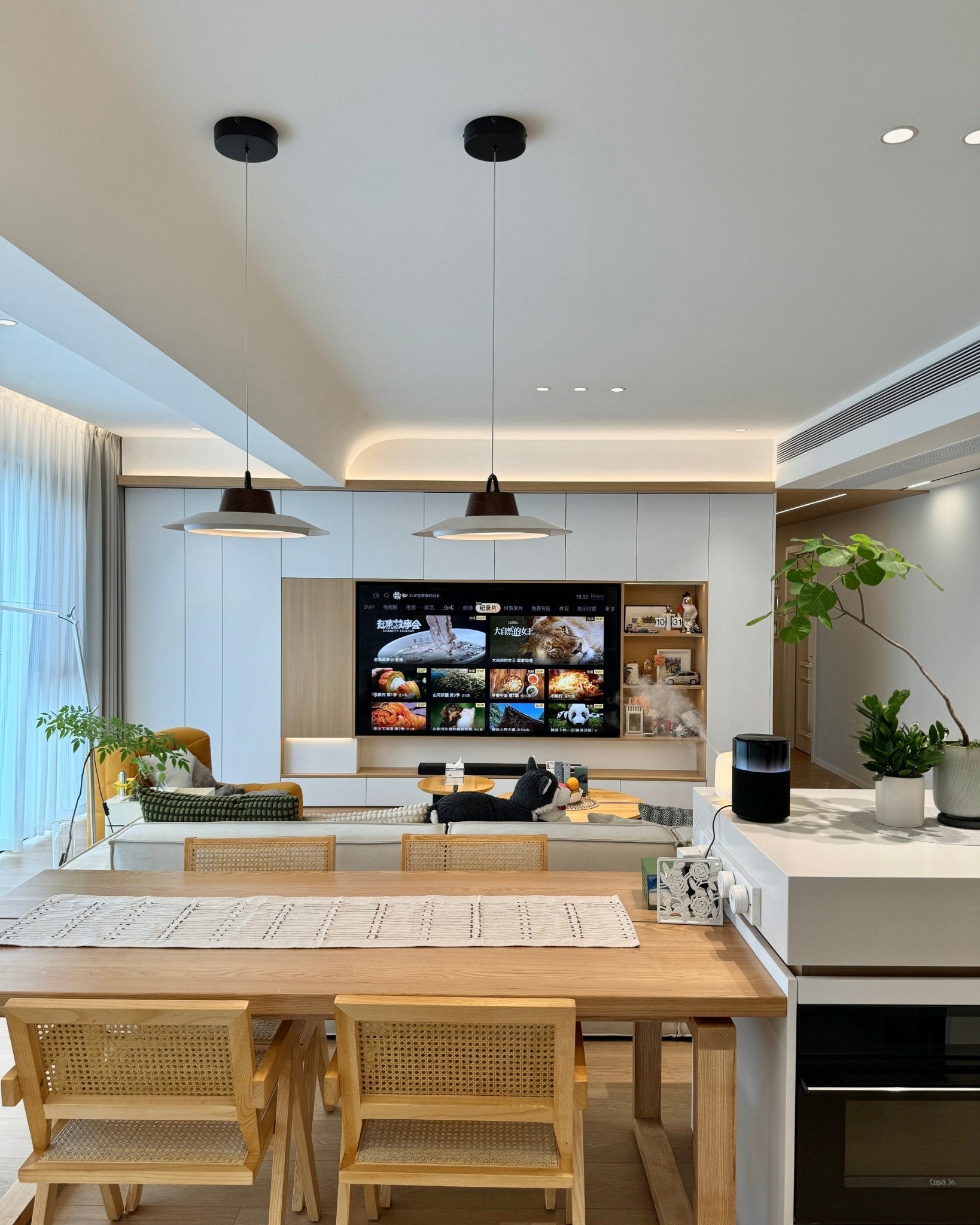 Ruile Pendant Lamp - Lamp Outdoor