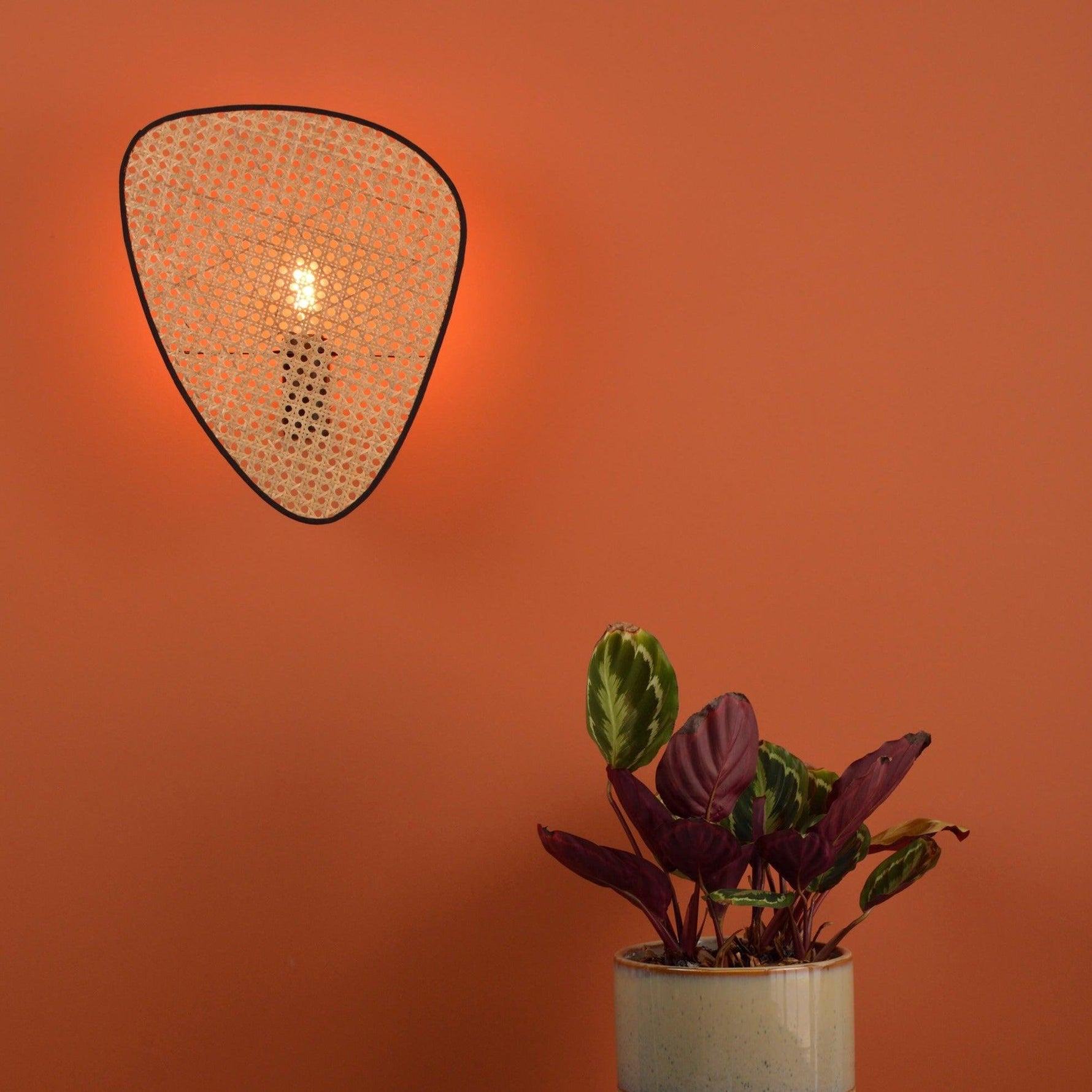 Screen Cannage Sconce - Lamp Outdoor
