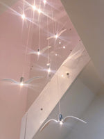 Aviara LED Pendant Light - Lamp Outdoor